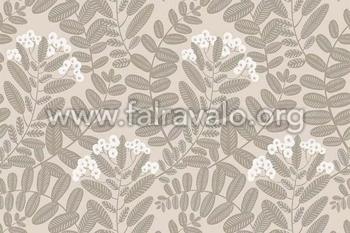 Mysa
