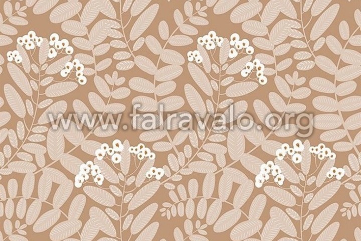 Mysa