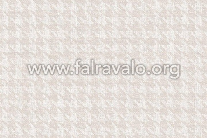 Aquila