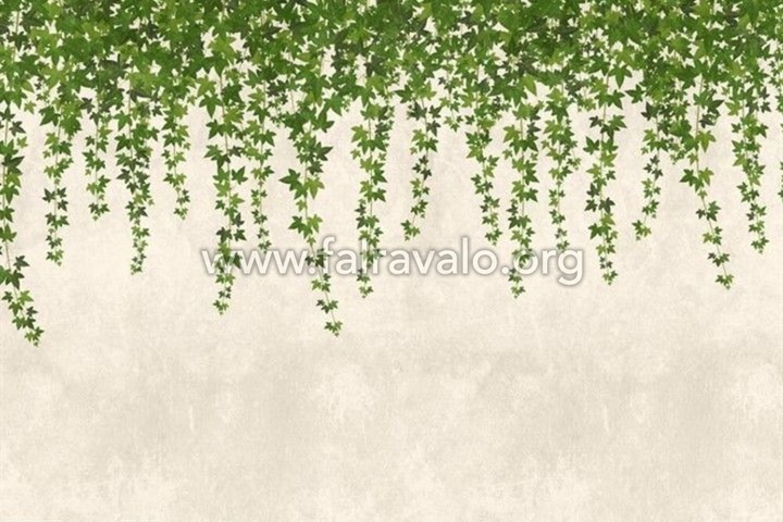 The wall Travel Styles