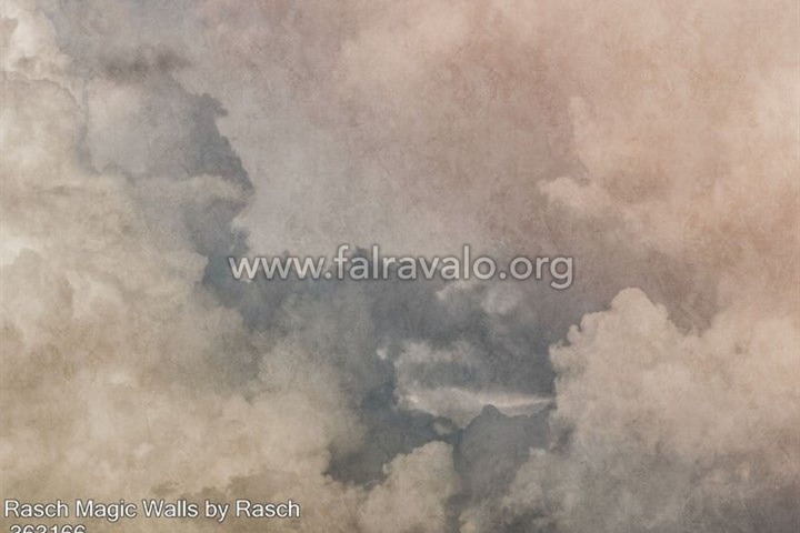 Magic Walls by Rasch