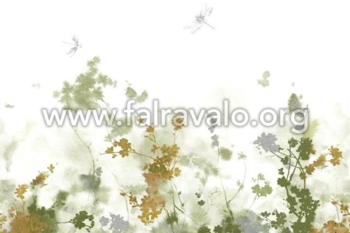 Magic Walls by Rasch