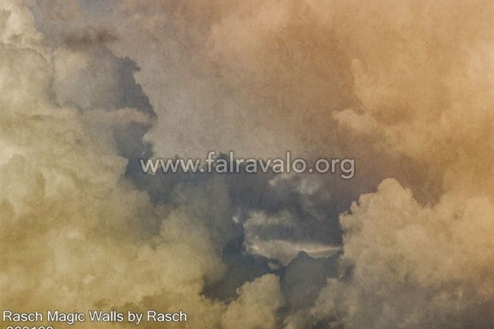 Magic Walls by Rasch