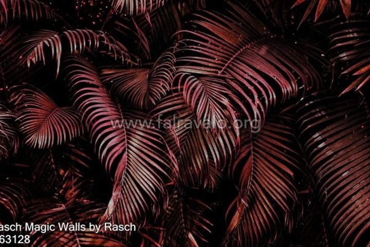 Magic Walls by Rasch