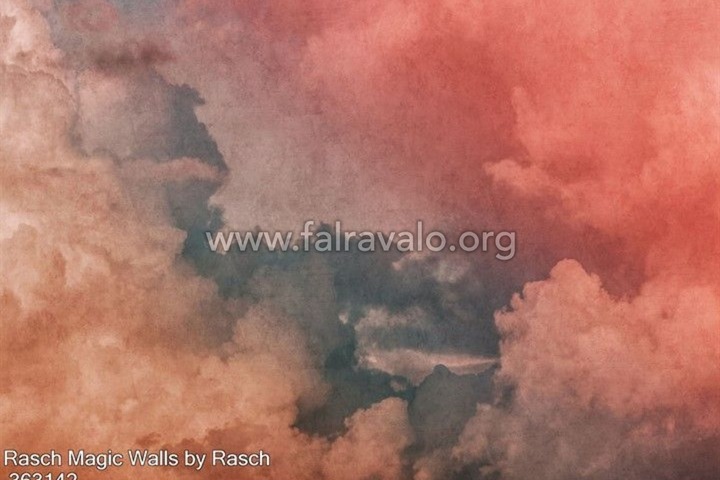Magic Walls by Rasch