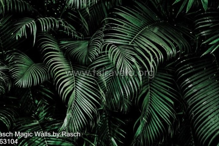 Magic Walls by Rasch