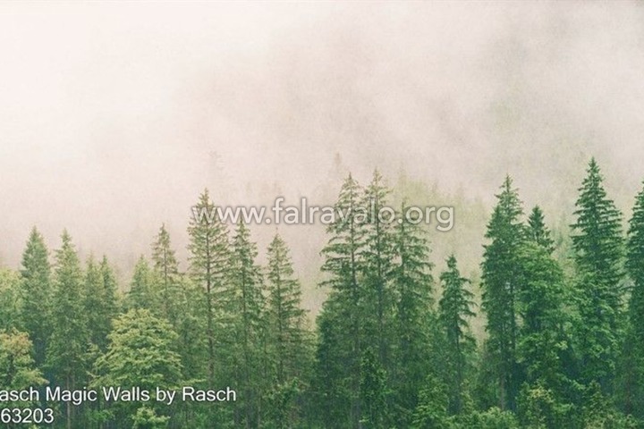 Magic Walls by Rasch