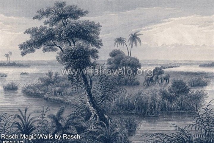 Magic Walls by Rasch