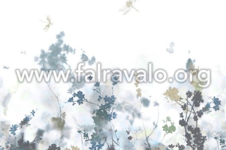 Magic Walls by Rasch