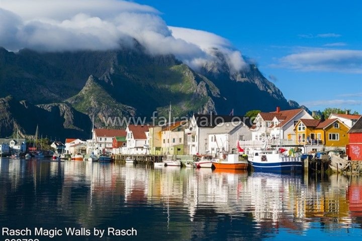 Magic Walls by Rasch