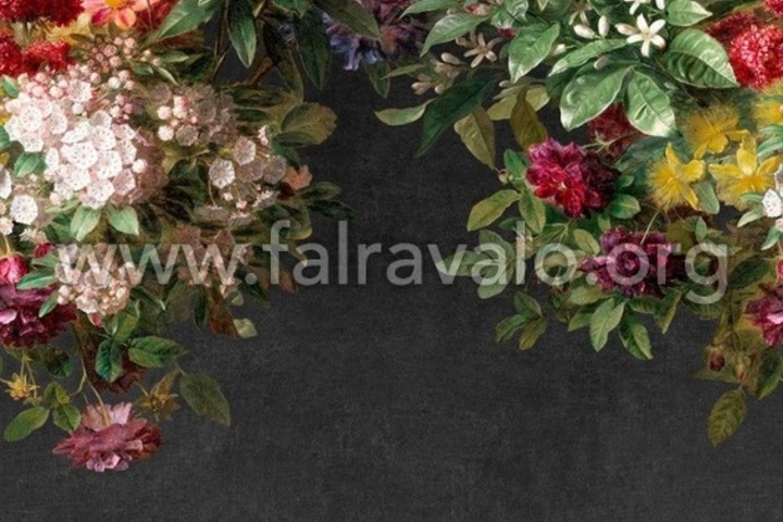 Magic Walls by Rasch