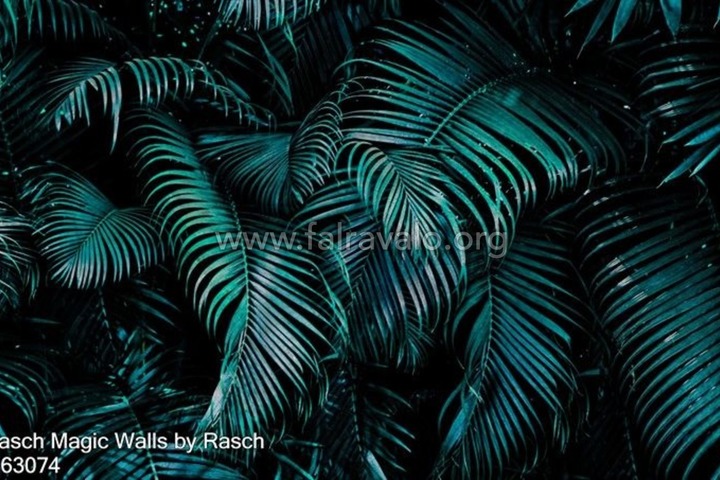 Magic Walls by Rasch