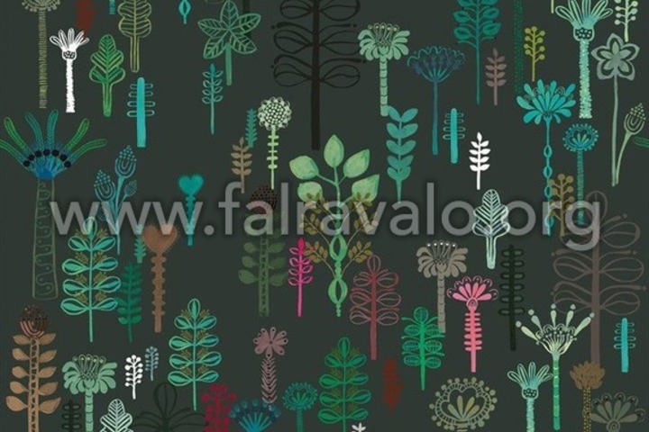 Magic Walls by Rasch