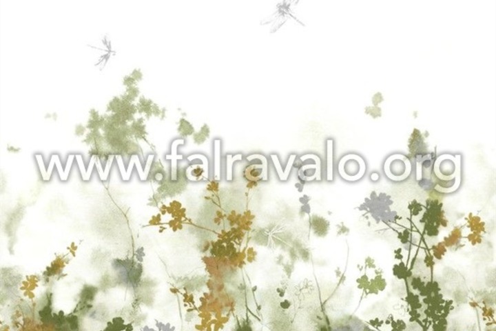 Magic Walls by Rasch