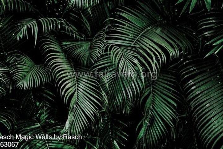 Magic Walls by Rasch