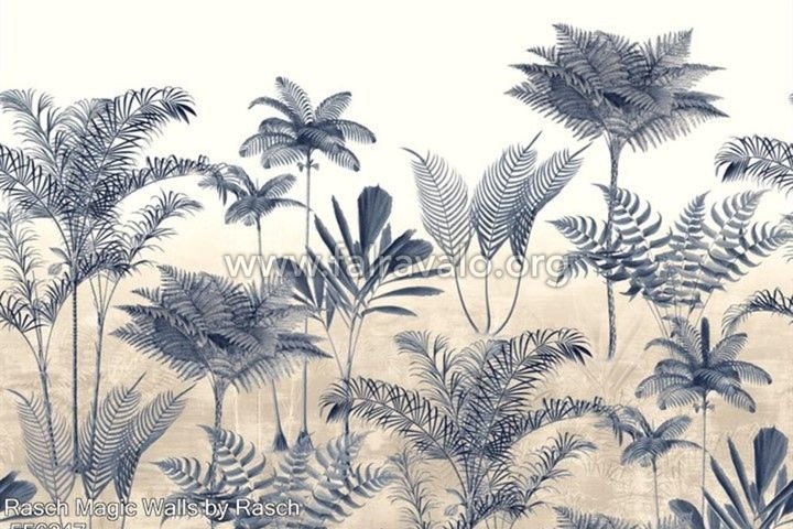 Magic Walls by Rasch