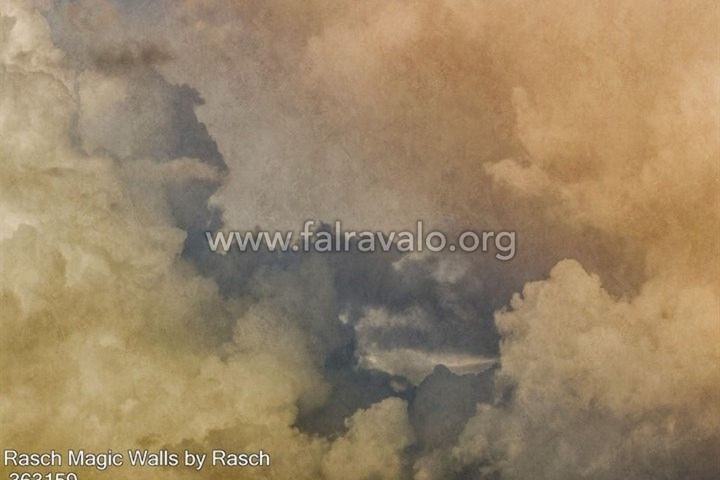 Magic Walls by Rasch