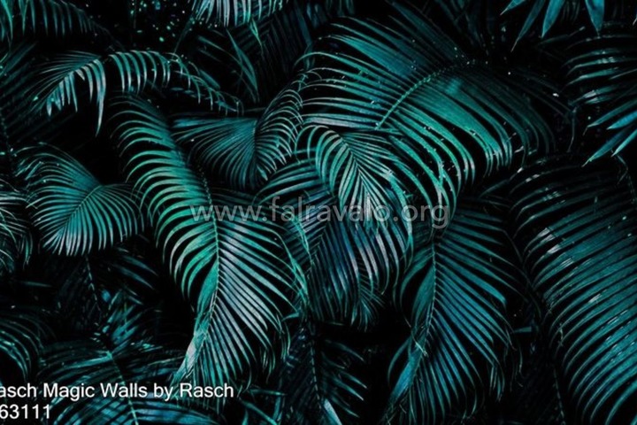 Magic Walls by Rasch