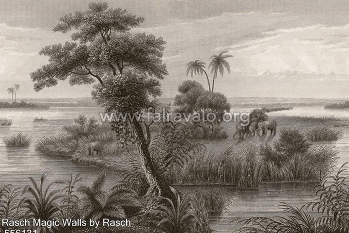 Magic Walls by Rasch