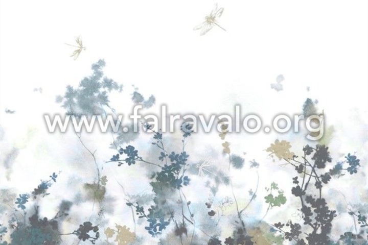 Magic Walls by Rasch