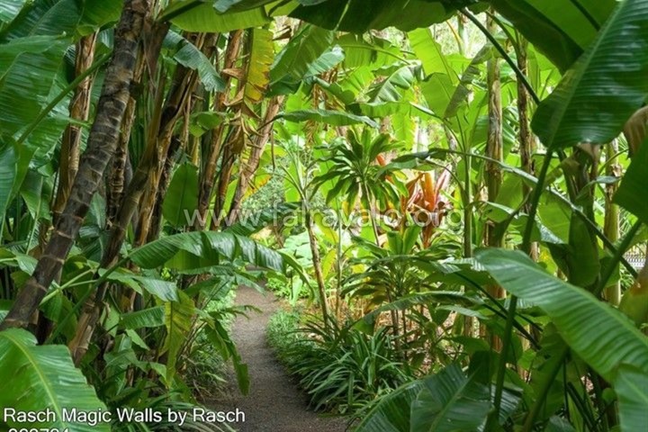 Magic Walls by Rasch