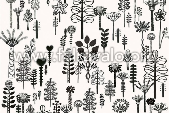 Magic Walls by Rasch