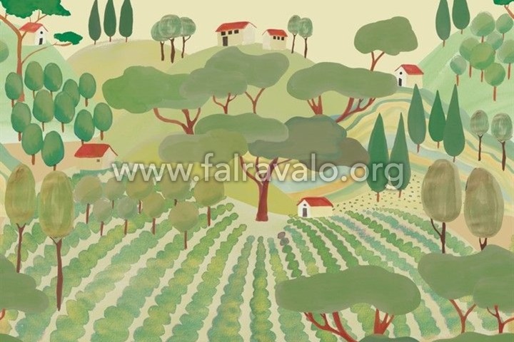 Magic Walls by Rasch