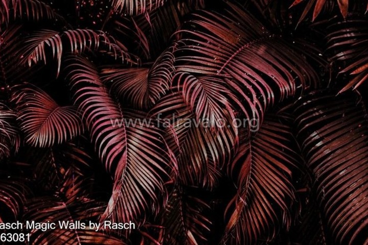 Magic Walls by Rasch