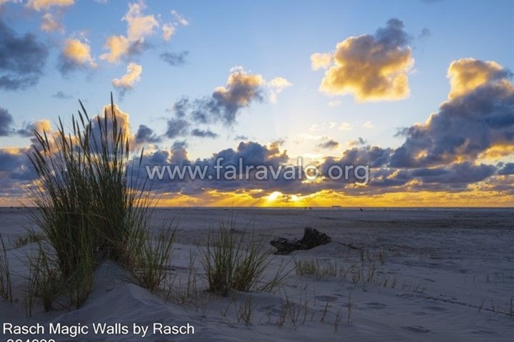 Magic Walls by Rasch