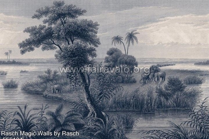 Magic Walls by Rasch