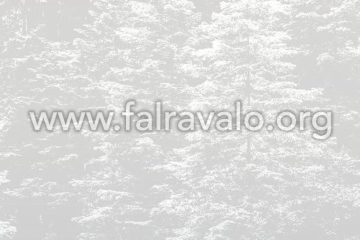 Fashion for Walls 4