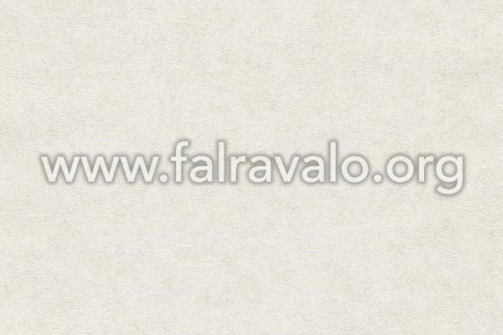 Fashion for Walls 4