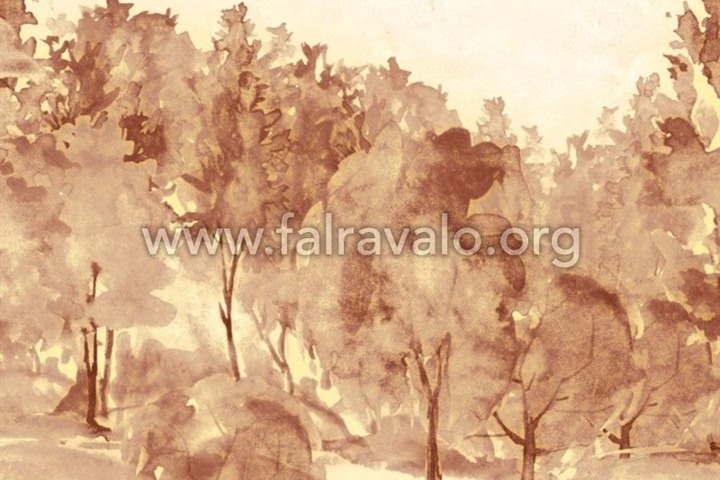 Savana