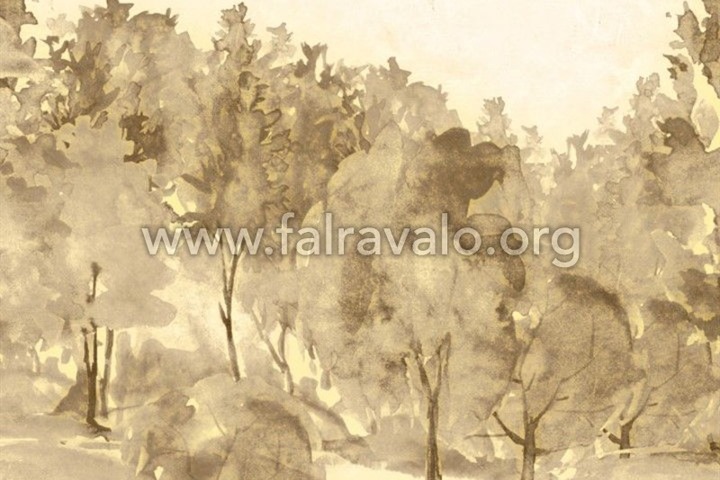 Savana