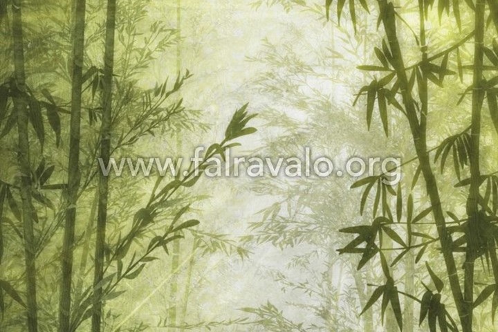 Savana