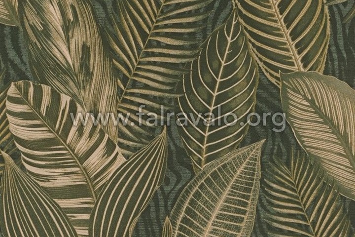 African Queen 3