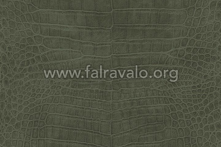 African Queen 3