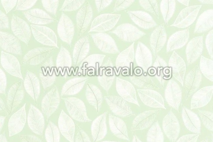 Green Life 2