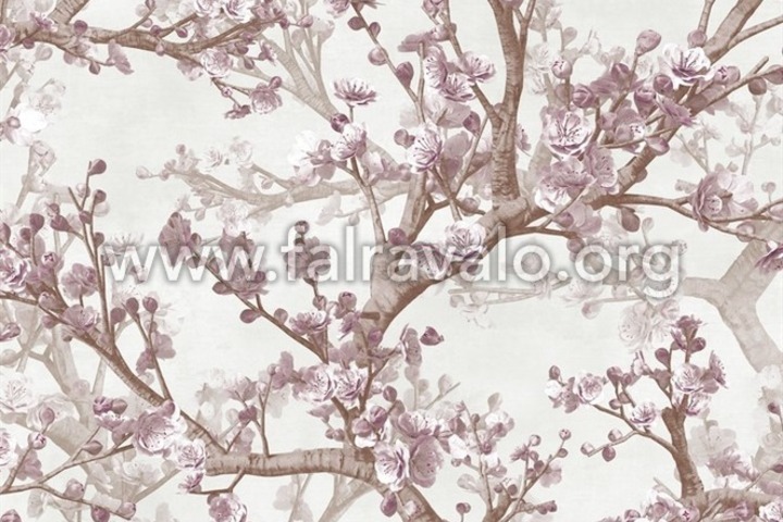 Blossom