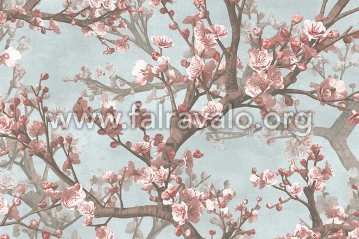Blossom