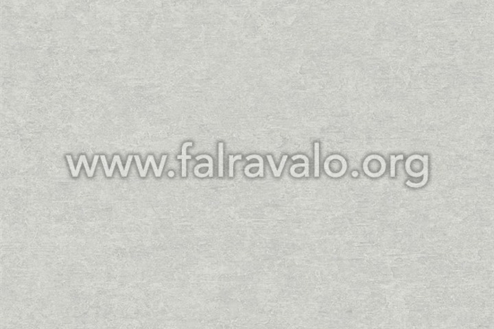 Vavex 2025
