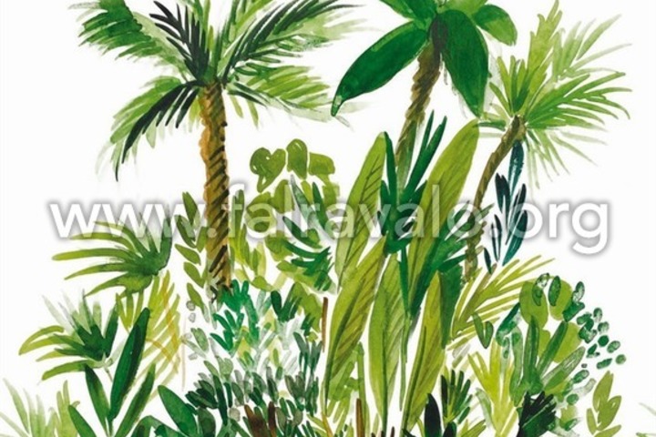 Green & Co
