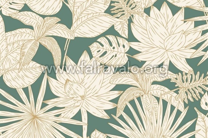 Green & Co