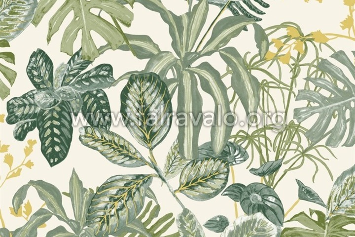 Green & Co