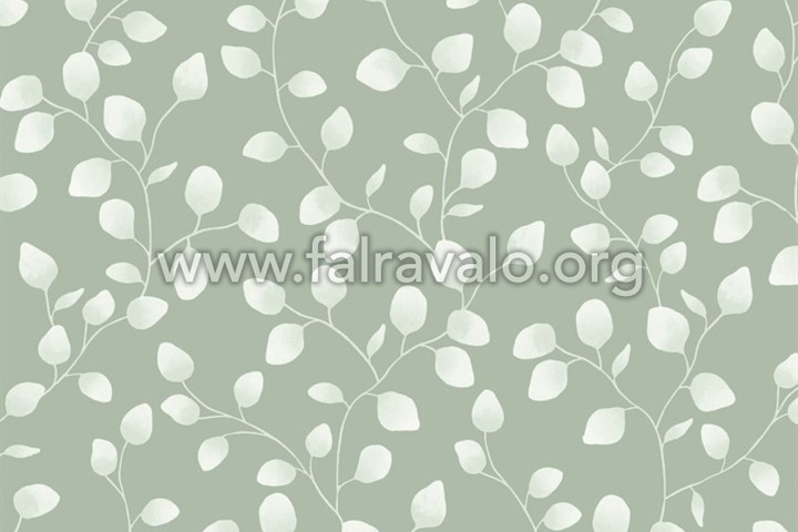Green & Co