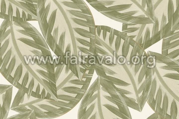Green & Co