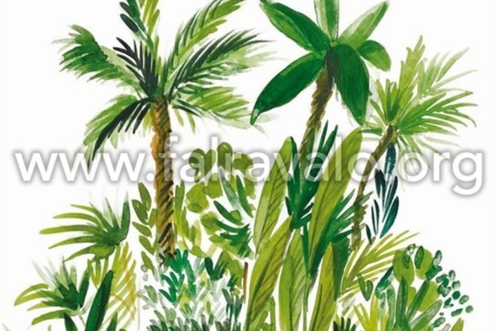 Green & Co