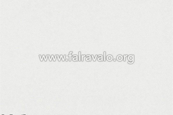 111 Shades of  White