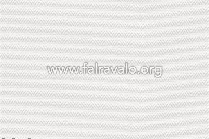 111 Shades of  White
